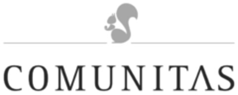 COMUNITAS Logo (IGE, 29.09.2009)
