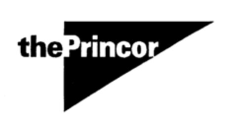 the Princor Logo (IGE, 28.01.1987)