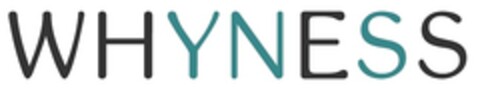 WHYNESS Logo (IGE, 20.03.2024)