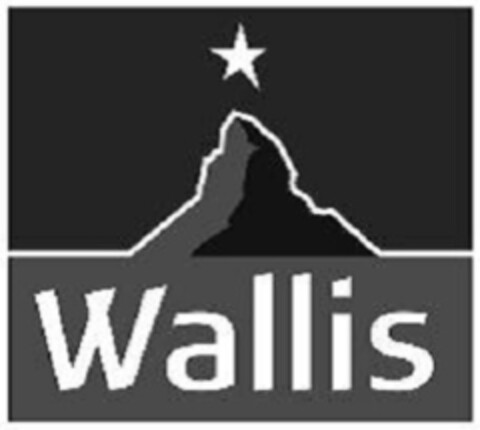 Wallis Logo (IGE, 17.06.2021)