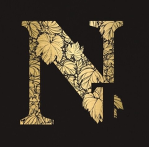 NT Logo (IGE, 29.10.2021)