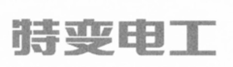  Logo (IGE, 04.01.2007)