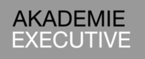 AKADEMIE EXECUTIVE Logo (IGE, 12.05.2017)