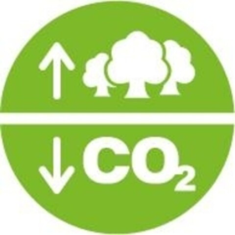 CO2 Logo (IGE, 14.05.2008)