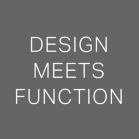 DESIGN MEETS FUNCTION Logo (IGE, 01/16/2017)