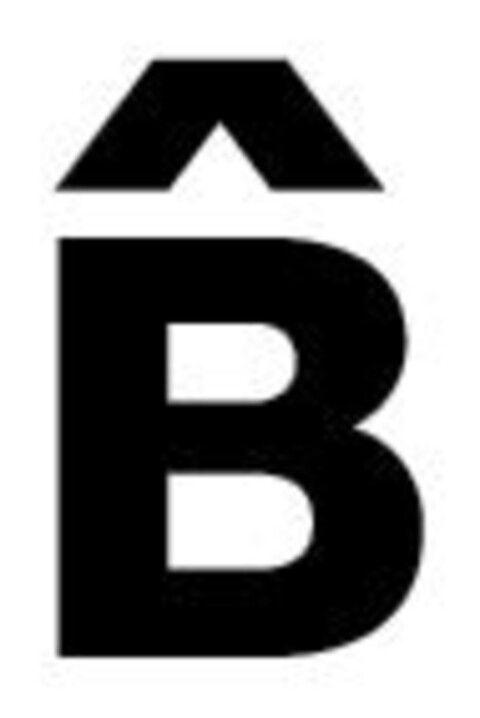 B Logo (IGE, 03.06.2016)