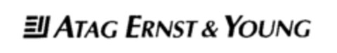 ATAG ERNST & YOUNG Logo (IGE, 06/14/1994)