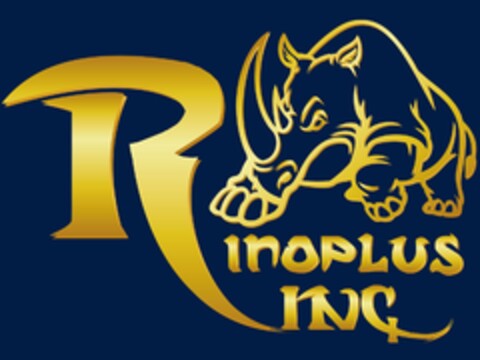 Rinoplus INC Logo (IGE, 01.02.2019)