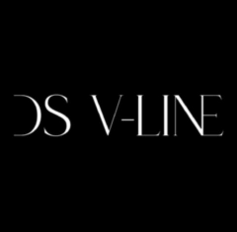 DS V-LINE Logo (IGE, 01/08/2024)