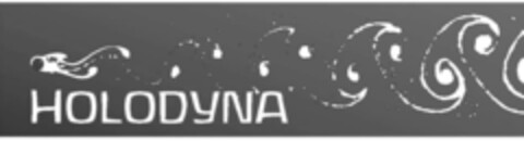 HOLODYNA Logo (IGE, 24.01.2008)