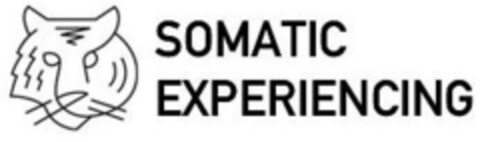 SOMATIC EXPERIENCING Logo (IGE, 02/12/2008)