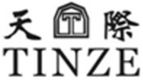 T TINZE Logo (IGE, 29.08.2008)