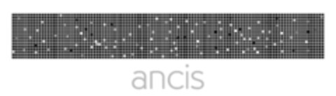 ancis Logo (IGE, 01.12.2016)