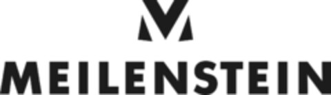 MEILENSTEIN Logo (IGE, 02.07.2018)