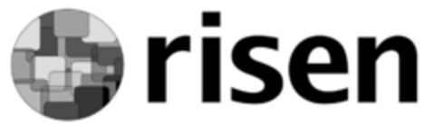 risen Logo (IGE, 29.06.2021)