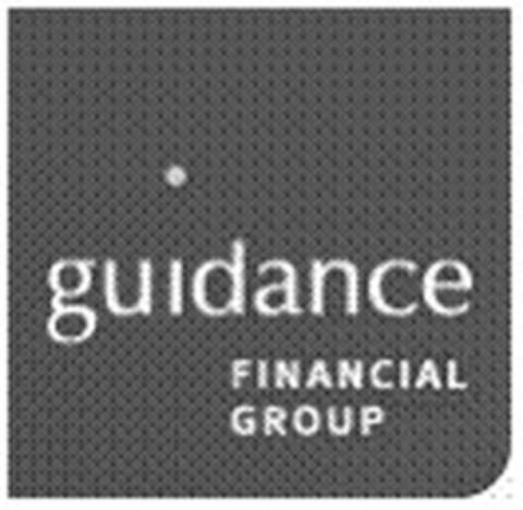 guidance FINANCIAL GROUP Logo (IGE, 30.05.2008)