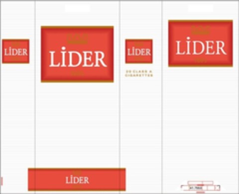 LIDER Logo (IGE, 07/13/2009)