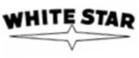 WHITE STAR Logo (IGE, 27.08.2010)