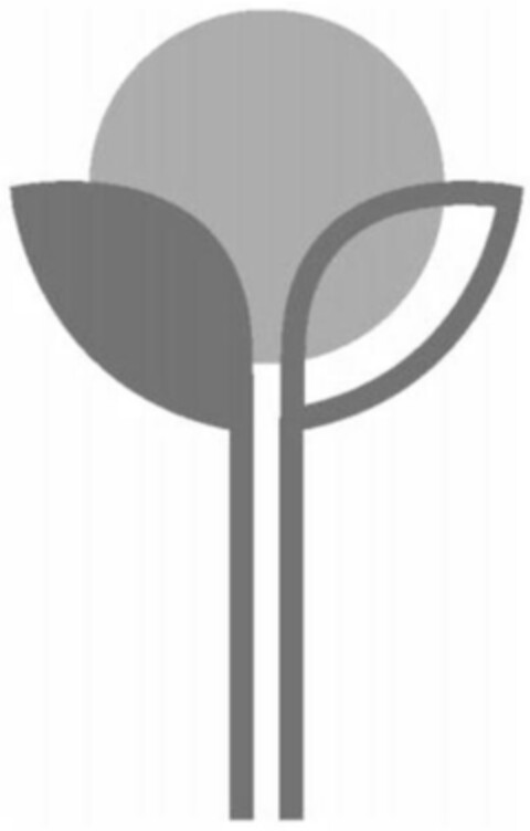  Logo (IGE, 11/06/2012)