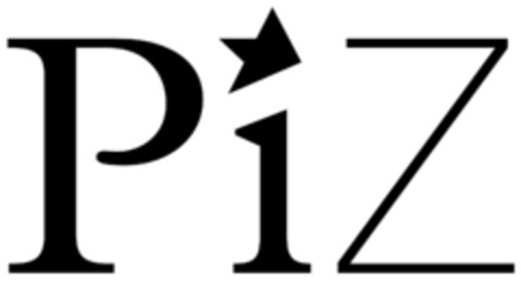 PiZ Logo (IGE, 14.08.2015)