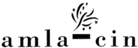 amla-cin Logo (IGE, 16.09.2002)