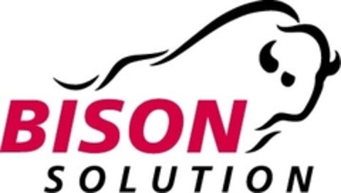 BISON SOLUTION Logo (IGE, 07.05.2009)