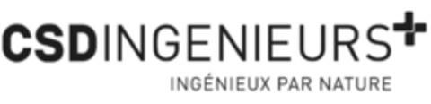 CSDINGENIEURS INGÉNIEUX PAR NATURE Logo (IGE, 14.08.2013)