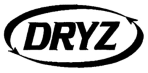 DRYZ Logo (IGE, 12.12.2001)