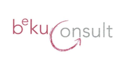 bekuConsult Logo (IGE, 12/29/2014)