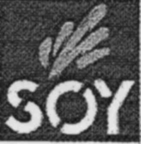 SOY Logo (IGE, 21.05.2003)