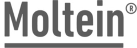 Moltein Logo (IGE, 15.01.2021)