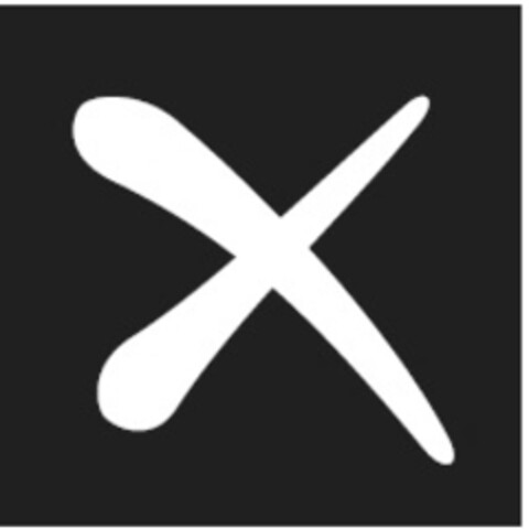 X Logo (IGE, 24.05.2016)