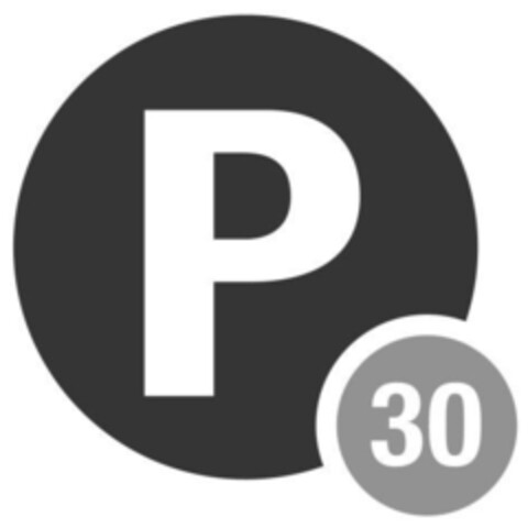 P 30 Logo (IGE, 24.10.2007)