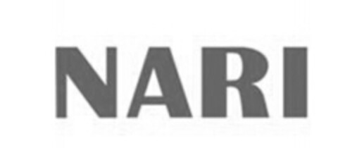 NARI Logo (IGE, 12/02/2014)