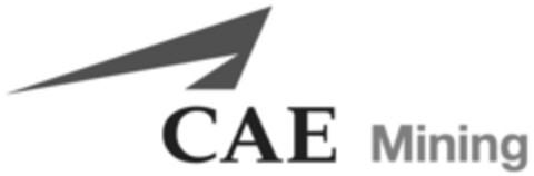 CAE Mining Logo (IGE, 22.02.2011)