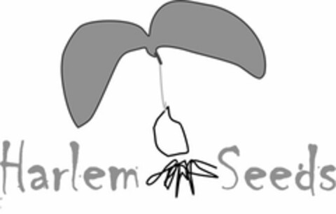 HARLEM SEEDS Logo (USPTO, 05/08/2014)