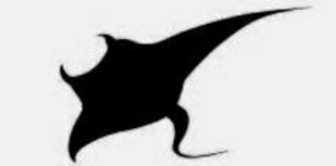  Logo (USPTO, 12.07.2018)