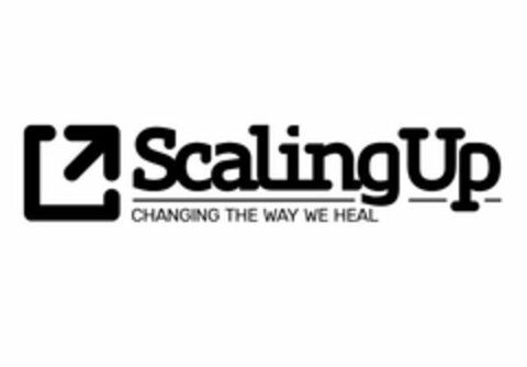 SCALINGUP CHANGING THE WAY WE HEAL Logo (USPTO, 05.12.2019)