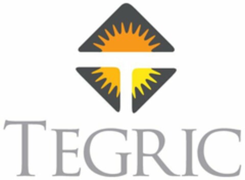 T TEGRIC Logo (USPTO, 10.08.2009)