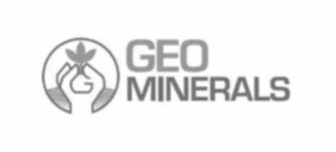 G GEO MINERALS Logo (USPTO, 08.12.2011)
