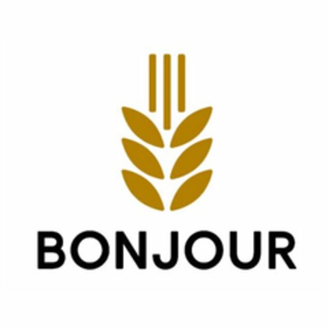 BONJOUR Logo (USPTO, 20.05.2016)