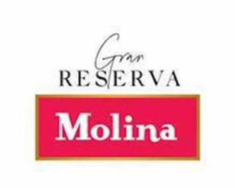 GRAN RESERVA MOLINA Logo (USPTO, 14.05.2020)