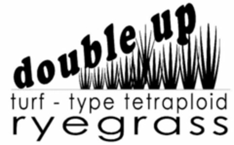 DOUBLE UP TURF - TYPE TETRAPLOID RYEGRASS Logo (USPTO, 06/01/2011)