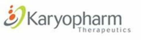 KARYOPHARM THERAPEUTICS Logo (USPTO, 29.08.2013)