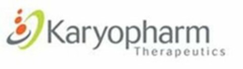 KARYOPHARM THERAPEUTICS Logo (USPTO, 08/29/2013)