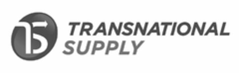 TS TRANSNATIONAL SUPPLY Logo (USPTO, 29.01.2015)