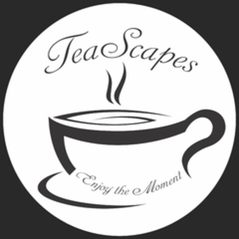 TEASCAPES ENJOY THE MOMENT Logo (USPTO, 05/26/2017)