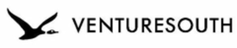 VENTURESOUTH Logo (USPTO, 27.02.2019)