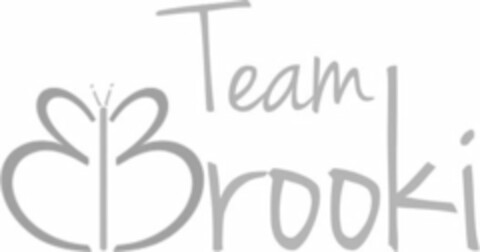 TEAM BROOKI Logo (USPTO, 02.05.2019)