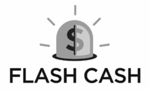 $ FLASH CASH Logo (USPTO, 24.04.2013)